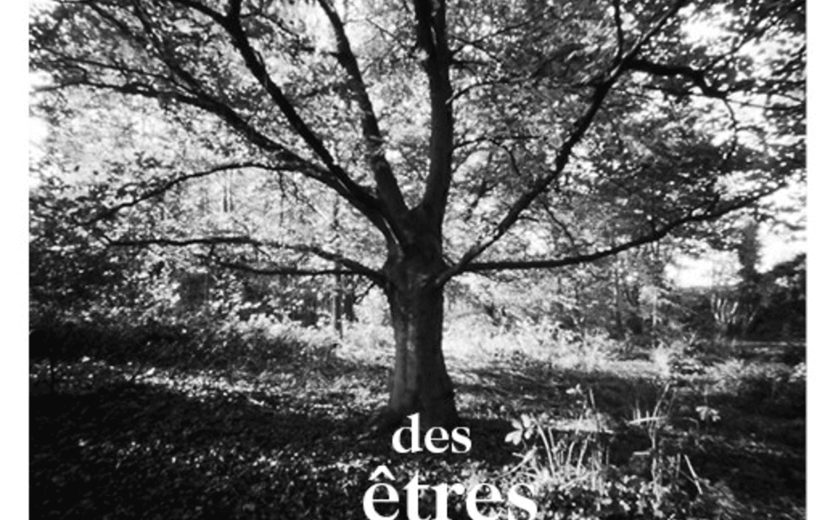 Des etres qui nous ressemblent