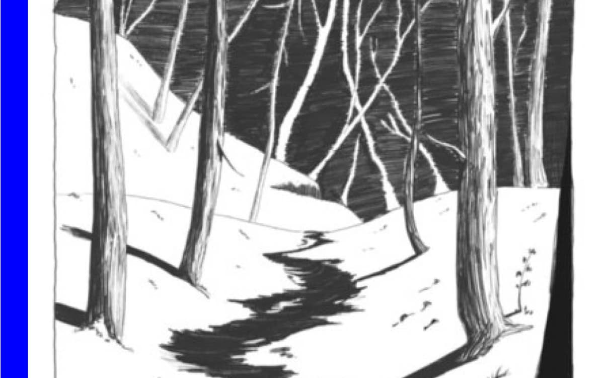 《解剖一场降雪》，苏阿德·丹塔斯（Souâd Dantas）的自由创作