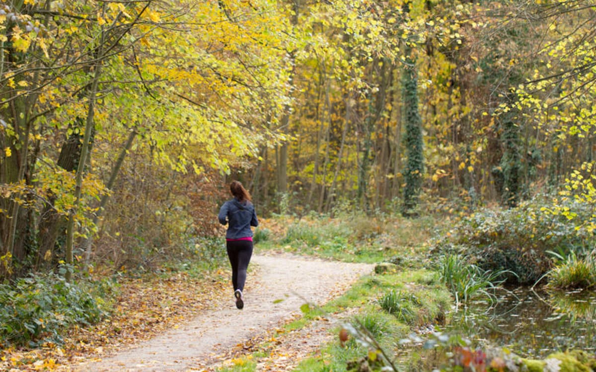 凡尔赛森林跑步节：亲子跑与10公里挑战赛