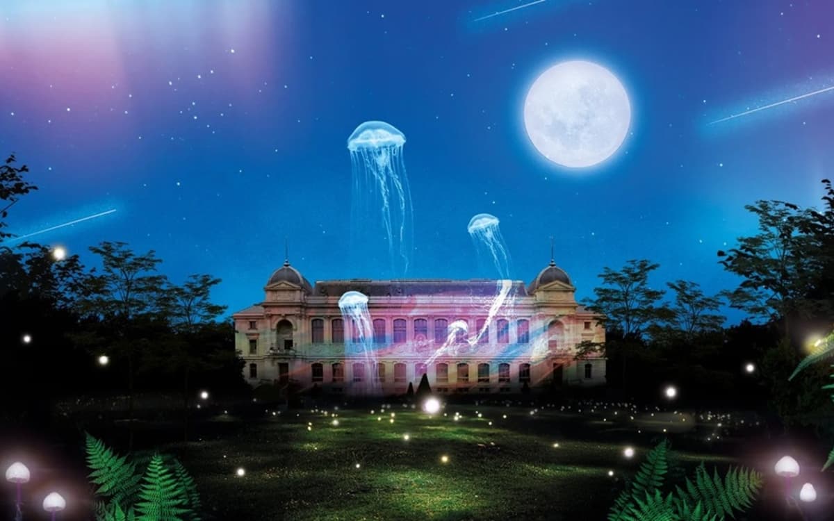 光影之路-自然之光-植物园