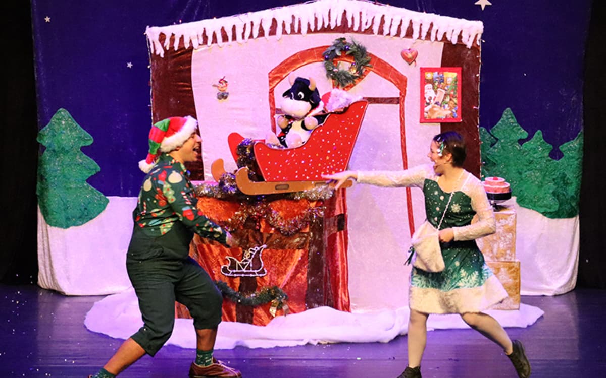 圣诞老人的雪橇