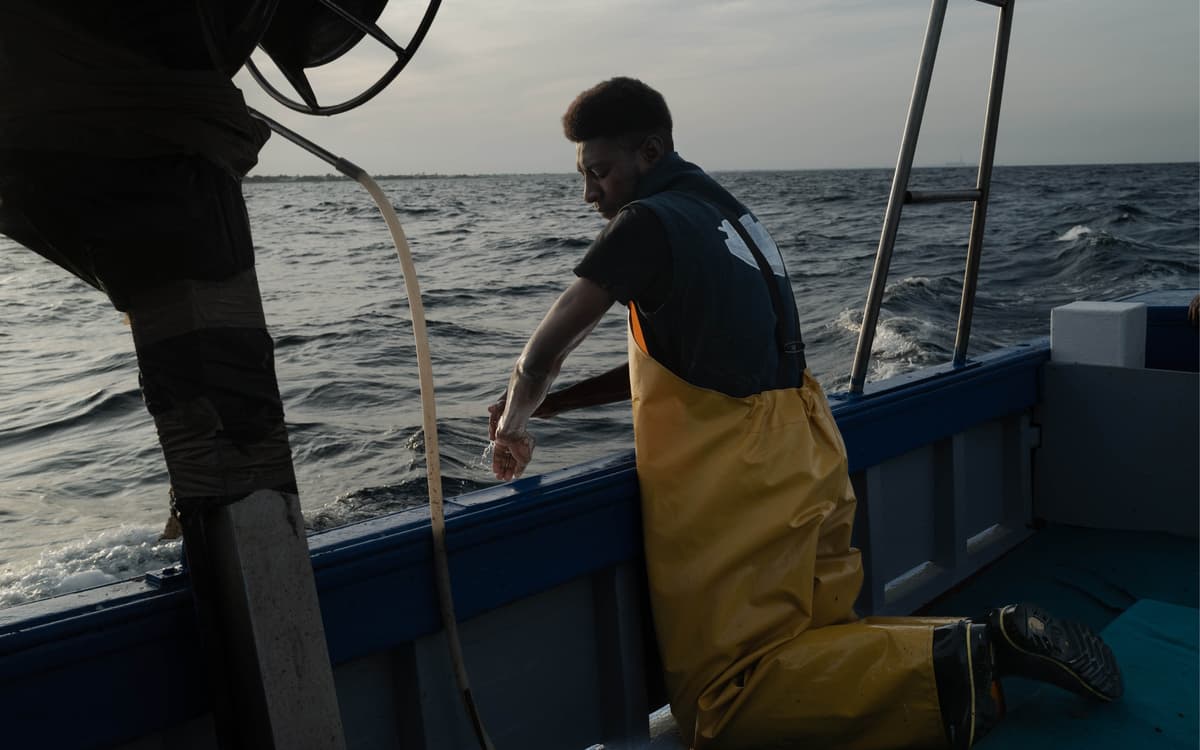 《生根发芽》- 摄影展