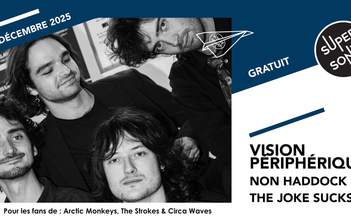 Vision Périphérique, Non Haddock, The Joke Sucks 乐队演出