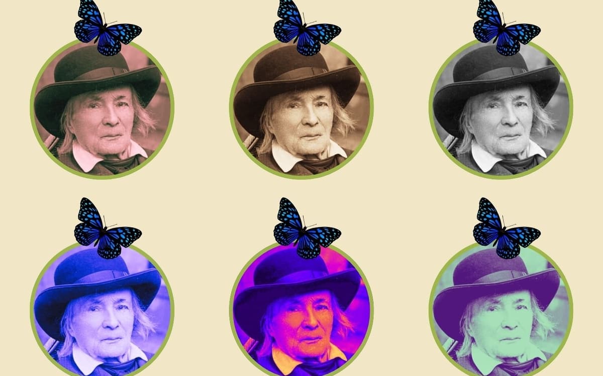 马尔罗图书馆致敬昆虫学家法布尔：系列活动全攻略