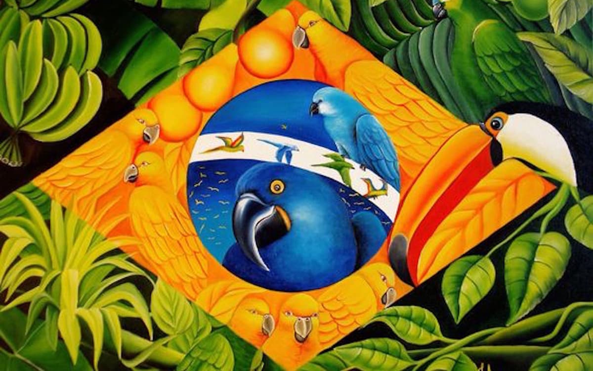 Baile do Brasil 巴西舞会：现场桑巴、里约放克俱乐部与巴西风情派对