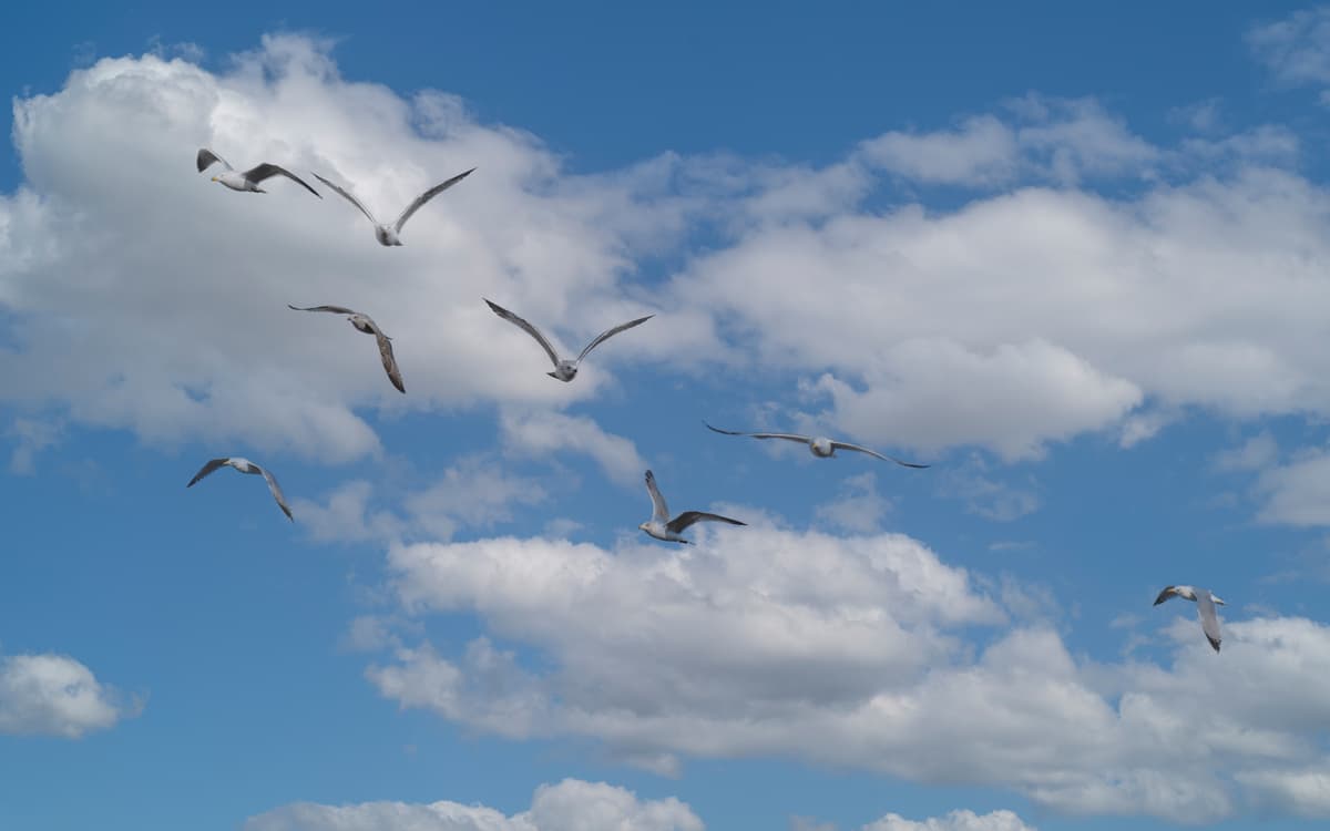 自然阅读会：探索天空奥秘