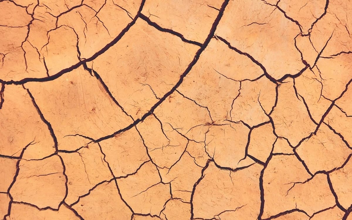 农业与气候变化：现状、影响与适应策略