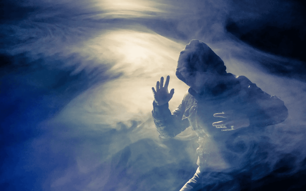 《没有什么能阻止历史转向》，维吉妮·德斯潘特斯作品