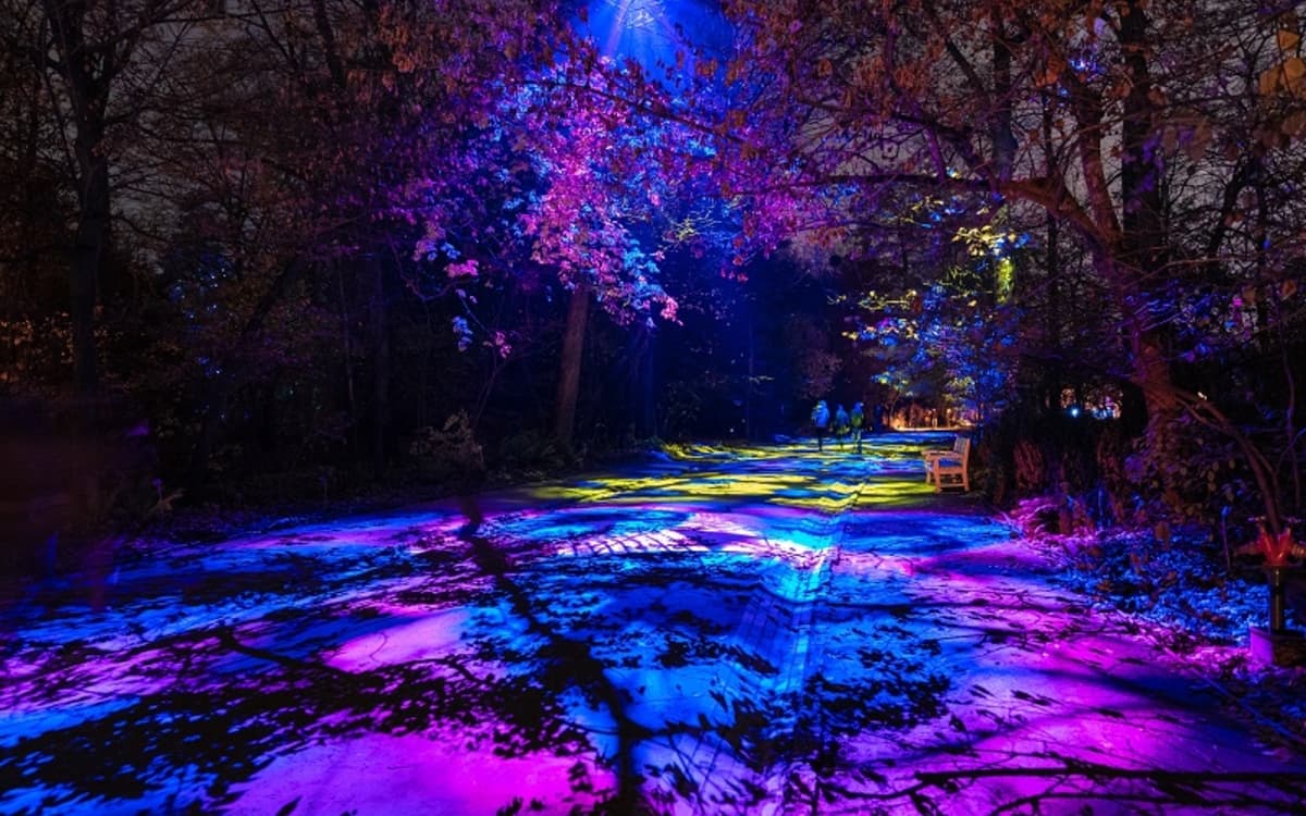 塞纳河畔灯光秀：圣克卢国家庄园冬季奇幻之旅