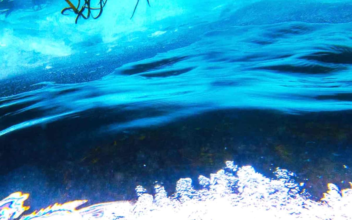 紧张的海洋：海上暴力现象深度剖析