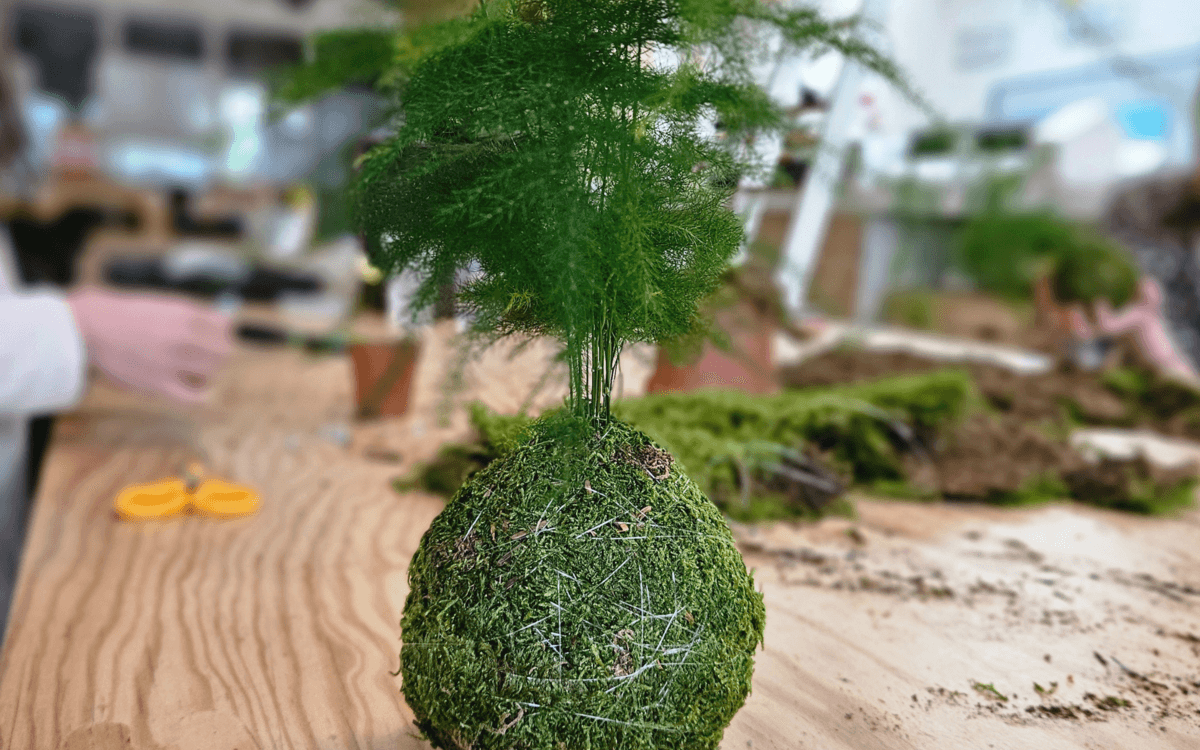 巴黎Kokedama苔玉手作坊