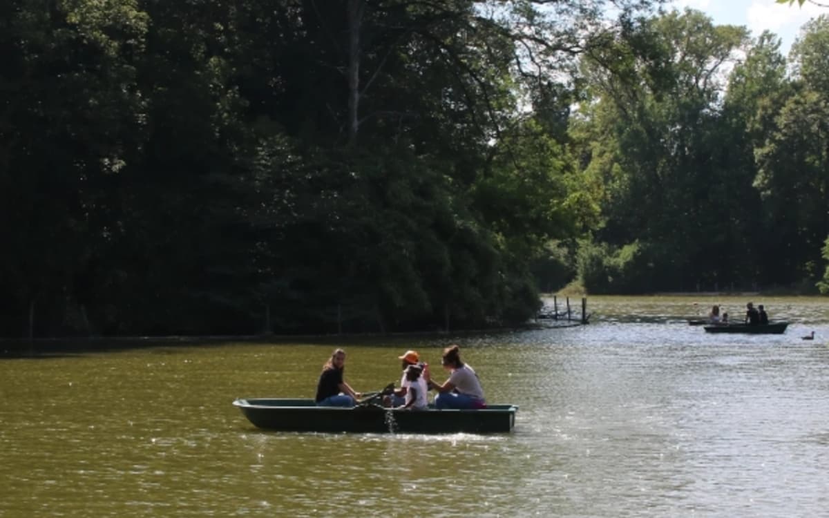 文森森林米尼姆湖观鸟之旅：探索野生鸟类与救助知识
