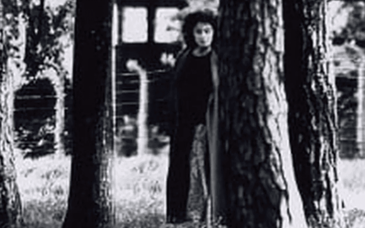 电影放映与交流：马瑟琳·洛里丹-伊文思作品《白桦林小牧场》