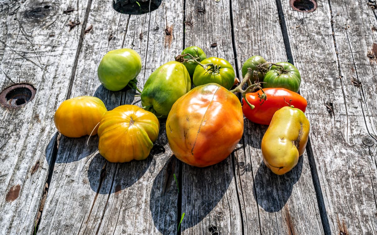 优质美食节 - 节日广场市场