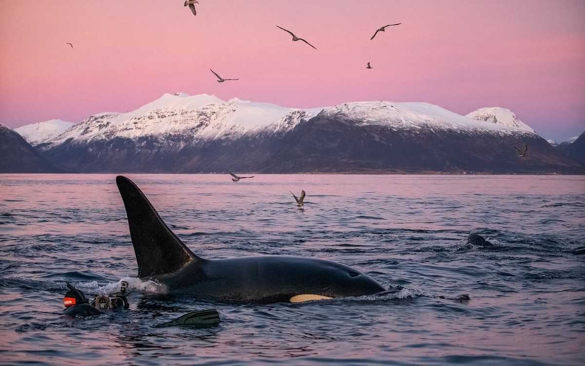 乔纳森·多瓦尔