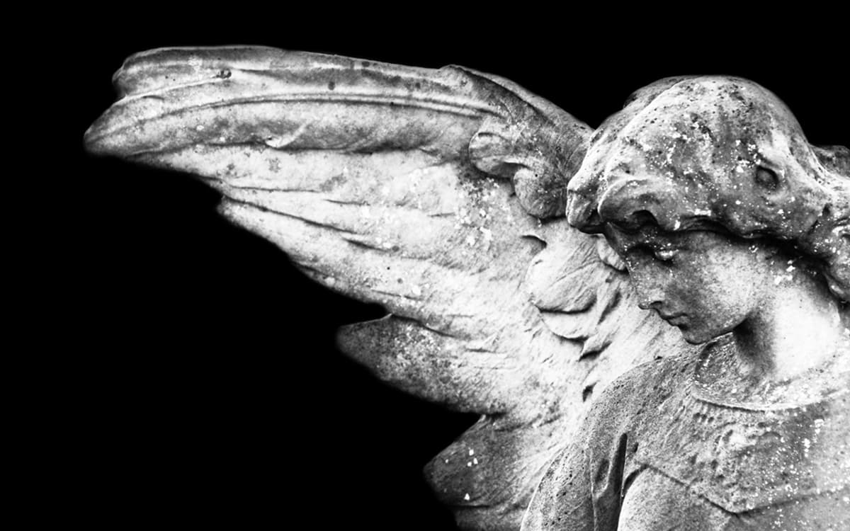 超越天使：巴黎青年合唱团无伴奏音乐会