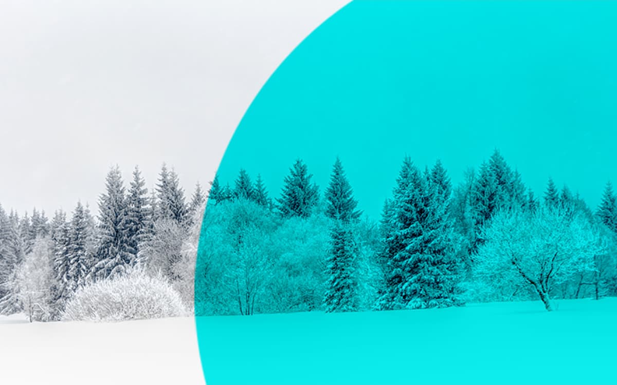 弦乐团与管乐团联合音乐会