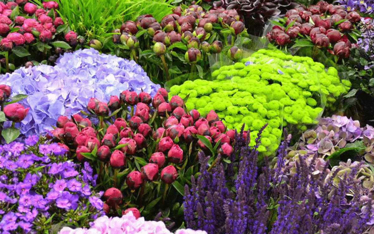 成人法式花艺工作坊：基础技艺与圣诞装饰