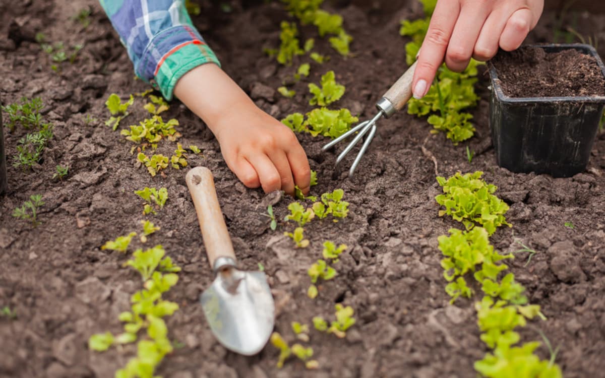 巴黎自然活动计划:免费探索城市绿意