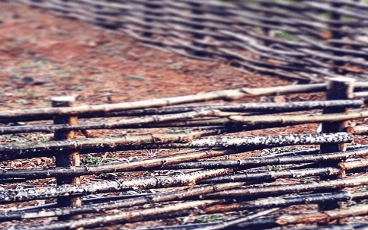 贝尔西教学菜园柳编工作坊:亲手制作方形柳编篱笆